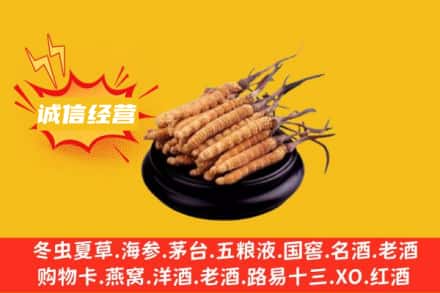 河池市南丹回收冬虫夏草